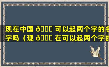 现在中国 🐟 可以起两个字的名字吗（现 🐘 在可以起两个字的名字吗2021）